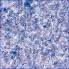 SIF_1153_0769311566_632EBY_N0522638SRLC00454_0000LMJ
