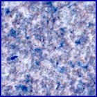 SIF_1153_0769311760_687EBY_N0522638SRLC09914_0000LMJ