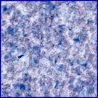 SIF_1153_0769311881_554EBY_N0522638SRLC09911_0000LMJ