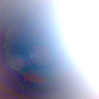 NLF_1165_0770353561_071ECM_N0524312NCAM00501_01_295J