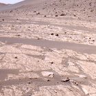 FLF_1179_0771604015_242ECM_N0540000FHAZ00203_10_195J
