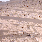 FLF_1179_0771605322_362ECM_N0540000FHAZ00203_10_195J