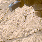 FLF_1179_0771605322_362ECM_N0540000FHAZ00203_13_195J