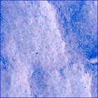 SIF_1179_0771603653_648EBY_N0540000SRLC00700_0000LMJ