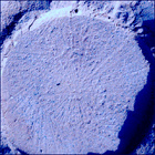 SIF_1179_0771616424_339EBY_N0540000SRLC02504_0000LMJ