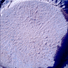 SIF_1179_0771616963_242EBY_N0540000SRLC00734_0000LMJ
