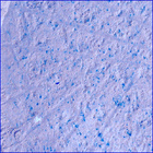 SIF_1180_0771697768_886EBY_N0540000SRLC00636_0000LMJ