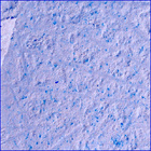 SIF_1180_0771697936_246EBY_N0540000SRLC00636_0000LMJ