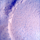 SIF_1180_0771697963_980EBY_N0540000SRLC00636_0000LMJ