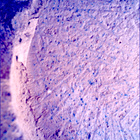 SIF_1180_0771698142_644EBY_N0540000SRLC00360_0000LMJ