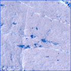 SIF_1188_0772417732_496EBY_N0541010SRLC01503_0000LMJ