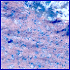SIF_1188_0772424487_781EBY_N0541010SRLC09814_0000LMJ
