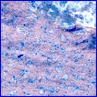 SIF_1188_0772424679_863EBY_N0541010SRLC09811_0000LMJ