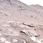FLF_1191_0772669268_284ECM_N0541152FHAZ00203_10_195J