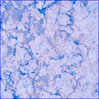 SIF_1191_0772668718_558EBY_N0541152SRLC04000_0000LMJ