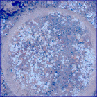 SIF_1191_0772675096_300EBY_N0541152SRLC02504_0000LMJ