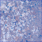 SIF_1191_0772675234_250EBY_N0541152SRLC01028_0000LMJ