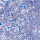 SIF_1191_0772675597_289EBY_N0541152SRLC00734_0000LMJ
