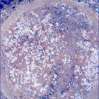 SIF_1191_0772675644_464EBY_N0541152SRLC00734_0000LMJ