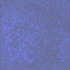 SIF_1191_0772698287_308EBY_N0541152SRLC08029_0000LMJ