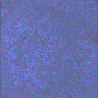 SIF_1191_0772698359_218EBY_N0541152SRLC08029_0000LMJ