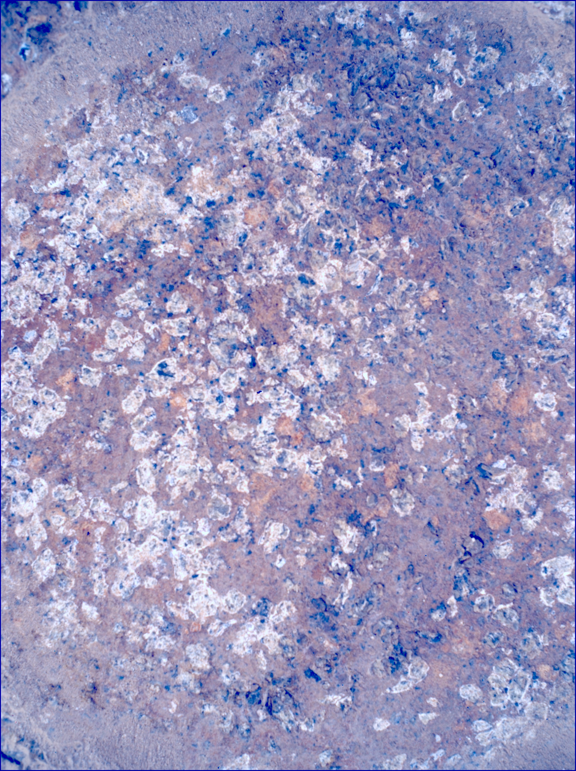 SIF_1193_0772852543_531EBY_N0541152SRLC00624_0000LMJ_calib01_areo info