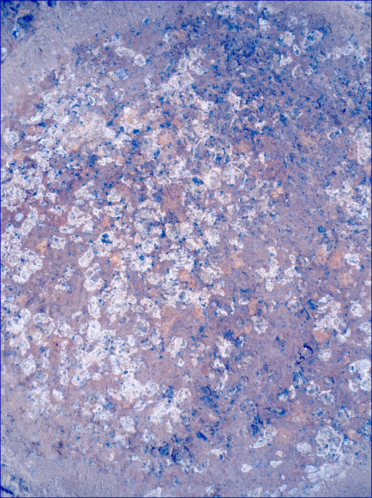 SIF_1193_0772852545_035EBY_N0541152SRLC00624_0000LMJ_calib01_areo info