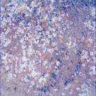 SIF_1193_0772852369_511EBY_N0541152SRLC00624_0000LMJ
