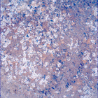 SIF_1193_0772852378_582EBY_N0541152SRLC00624_0000LMJ