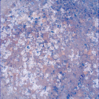SIF_1193_0772852545_035EBY_N0541152SRLC00624_0000LMJ