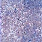 SIF_1193_0772852548_042EBY_N0541152SRLC00624_0000LMJ