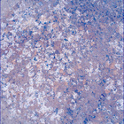 SIF_1193_0772852549_546EBY_N0541152SRLC00624_0000LMJ