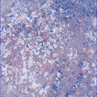 SIF_1193_0772852551_050EBY_N0541152SRLC00624_0000LMJ