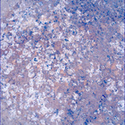 SIF_1193_0772852552_554EBY_N0541152SRLC00624_0000LMJ