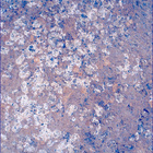 SIF_1193_0772852734_117EBY_N0541152SRLC00336_0000LMJ