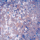 SIF_1193_0772852738_968EBY_N0541152SRLC00336_0000LMJ