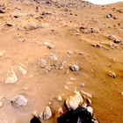 NLF_1204_0773824965_034ECM_N0550144NCAM03204_XX_195J