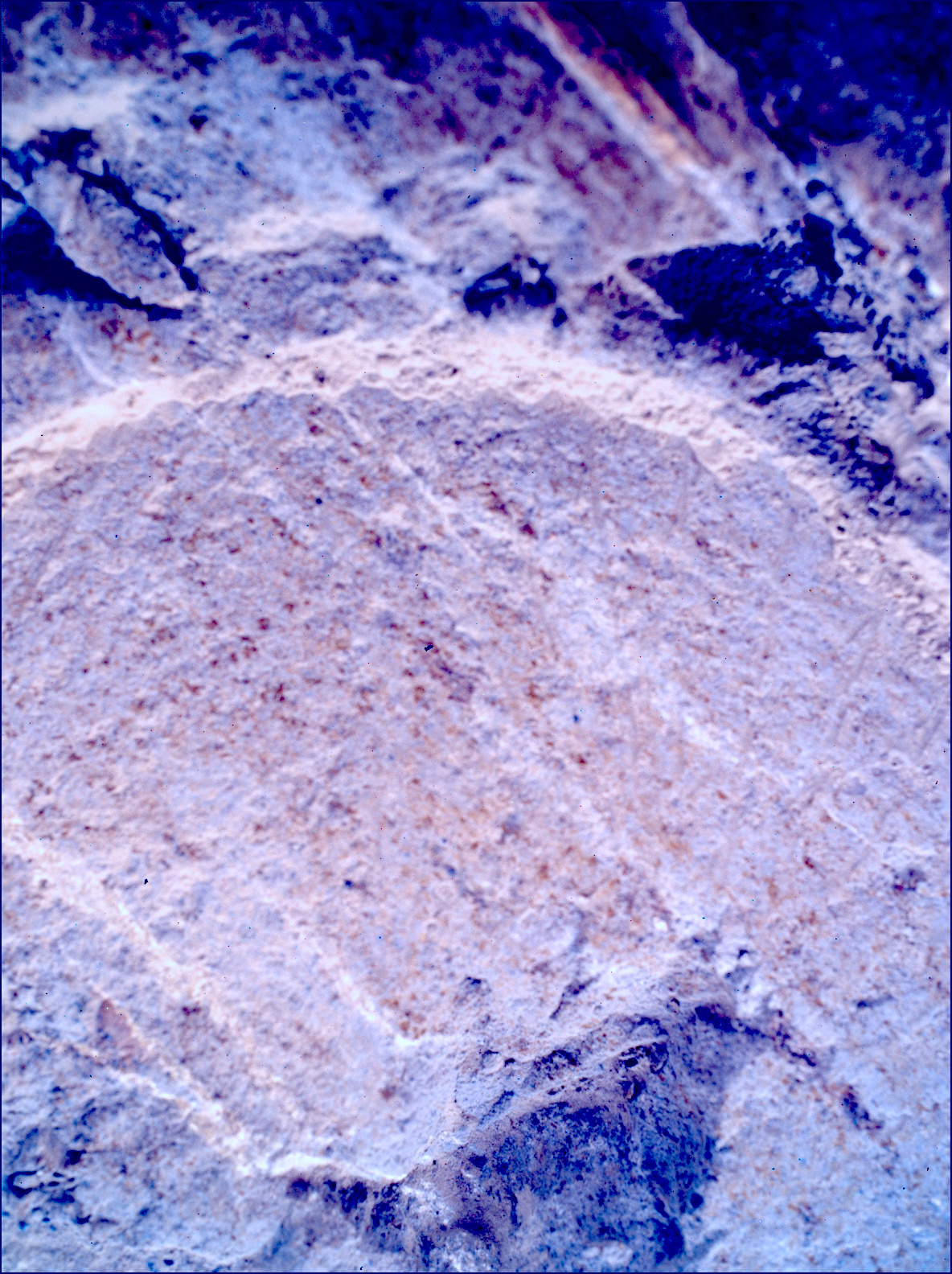 SIF_1212_0774537926_832EBY_N0560000SRLC00642_0000LMJ_calib01_areo info