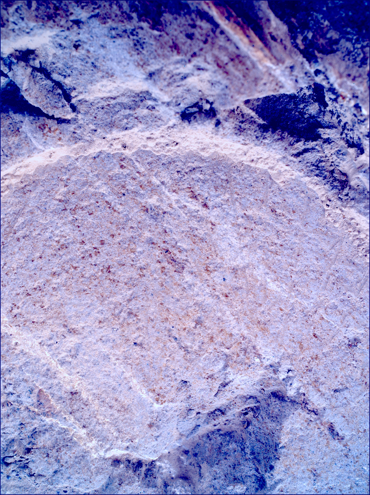 SIF_1212_0774537930_050EBY_N0560000SRLC00642_0000LMJ_calib01_areo info
