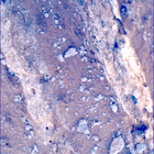SIF_1212_0774537107_957EBY_N0560000SRLC00648_0000LMJ