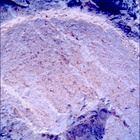 SIF_1212_0774537754_847EBY_N0560000SRLC00642_0000LMJ