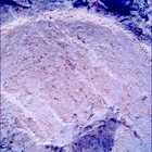 SIF_1212_0774537756_464EBY_N0560000SRLC00642_0000LMJ