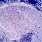 SIF_1212_0774537758_082EBY_N0560000SRLC00642_0000LMJ
