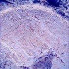 SIF_1212_0774537759_699EBY_N0560000SRLC00642_0000LMJ