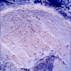 SIF_1212_0774537761_316EBY_N0560000SRLC00642_0000LMJ