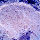 SIF_1212_0774537762_933EBY_N0560000SRLC00642_0000LMJ