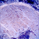 SIF_1212_0774537764_550EBY_N0560000SRLC00642_0000LMJ