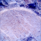 SIF_1212_0774537936_488EBY_N0560000SRLC00642_0000LMJ