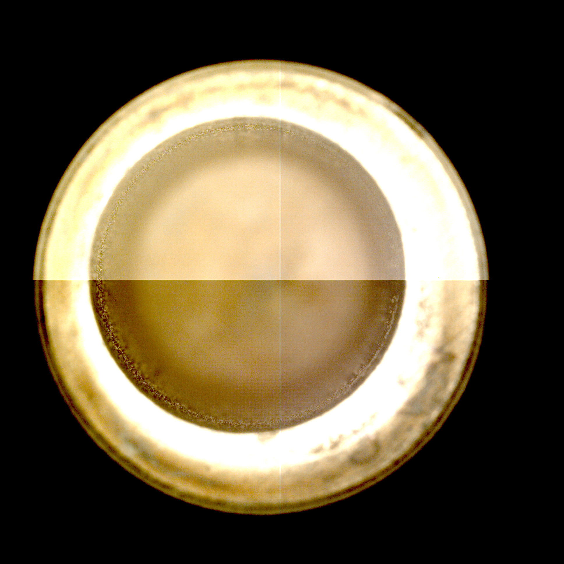 CCF_1215_0774826593_897EBYUN0560000CACH00222_XX_0LLJ_calib01_areo info
