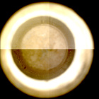 CCF_1215_0774826664_020EBYUN0560000CACH00225_XX_0LLJ